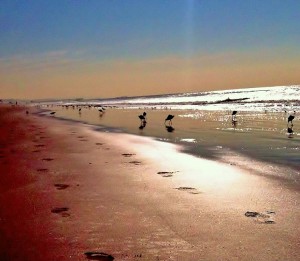 footprints in sand, bucket list, motivated goal setting